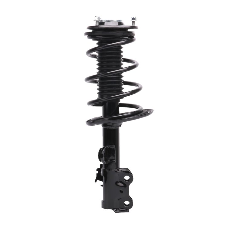 Strut Assembly