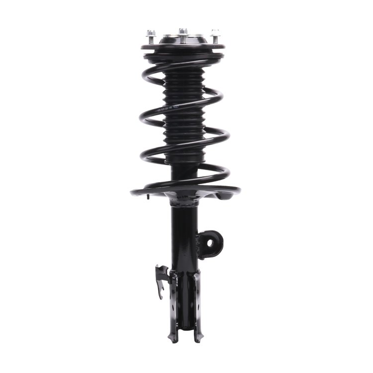 Strut Assembly
