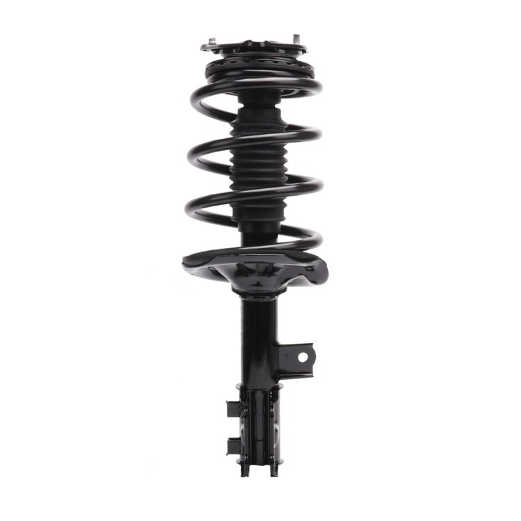 Strut Assembly