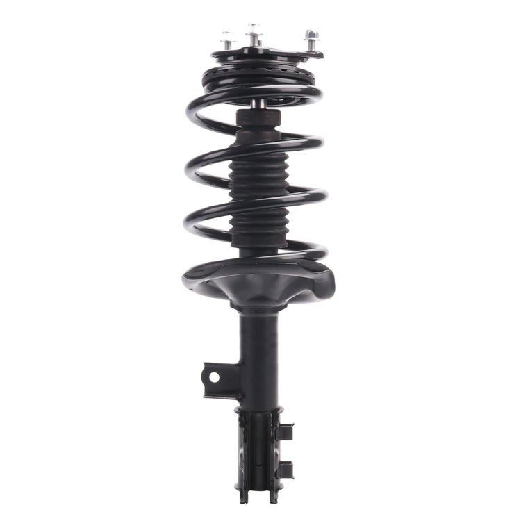 Strut Assembly