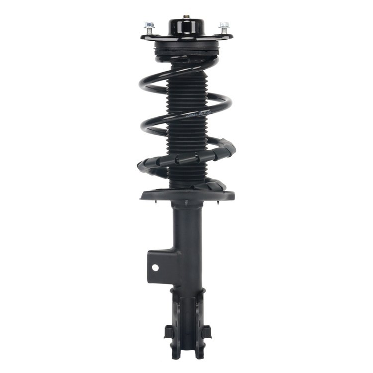 Strut Assembly