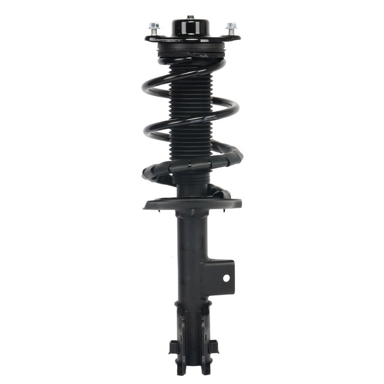 Strut Assembly