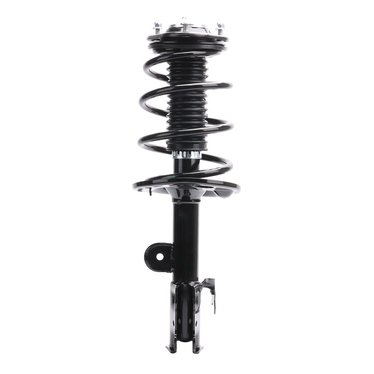 Strut Assembly
