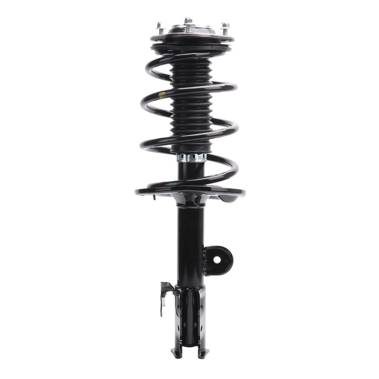Strut Assembly