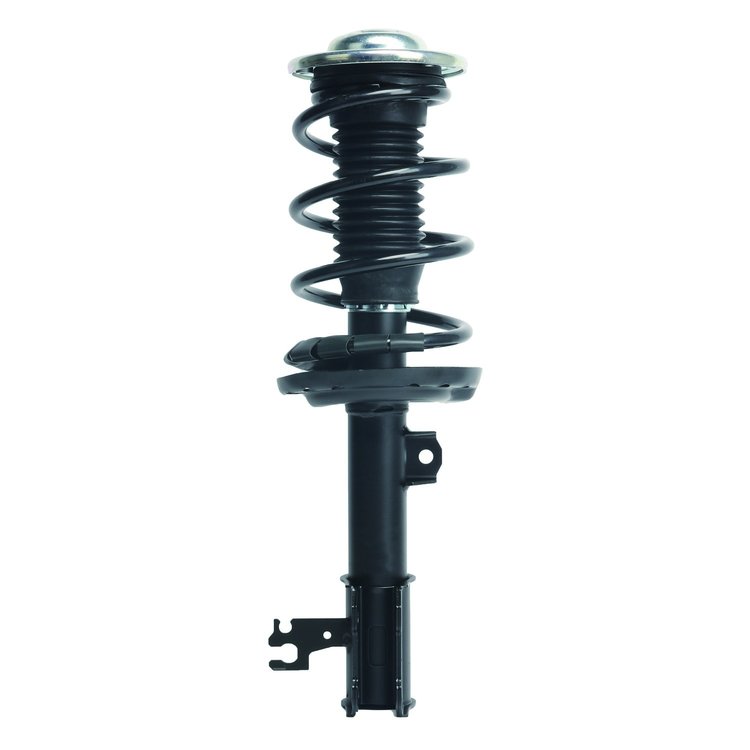 Strut Assembly