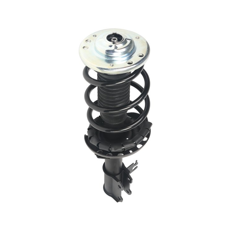 Strut Assembly