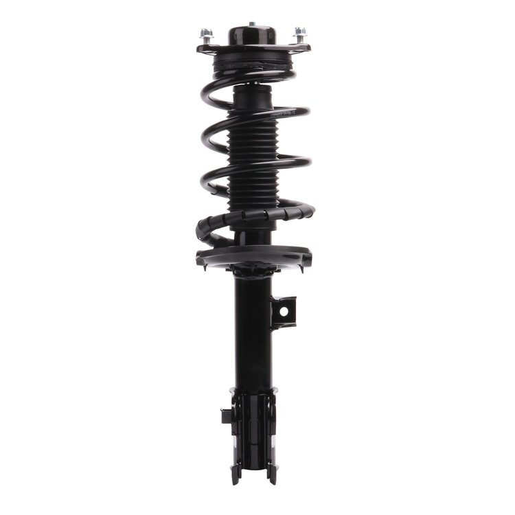 Strut Assembly