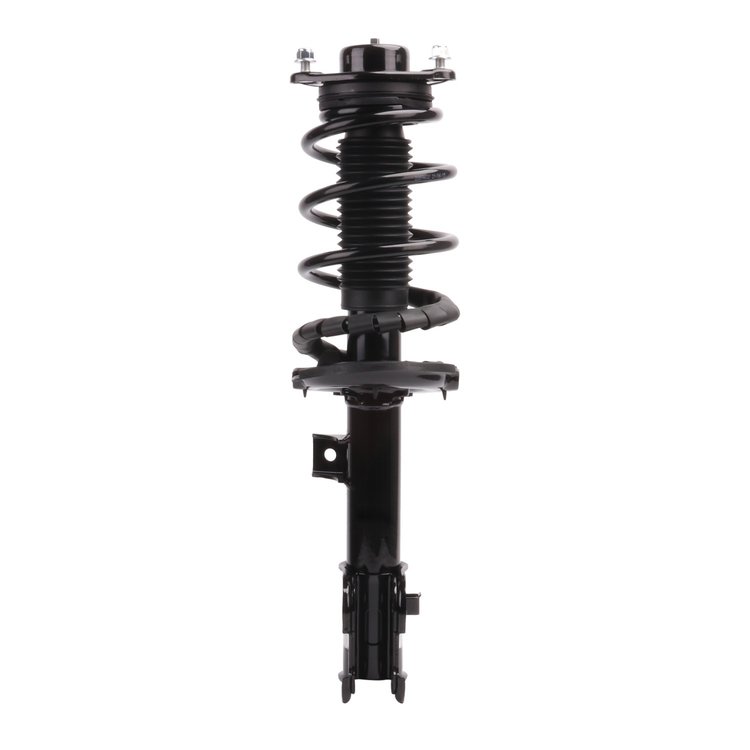 Strut Assembly