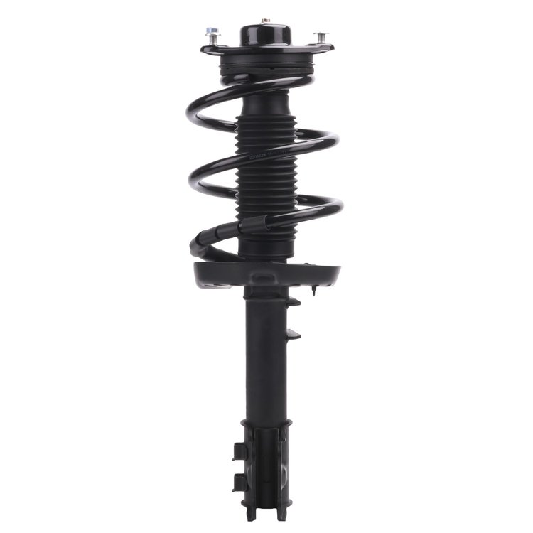 Strut Assembly