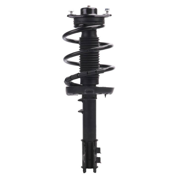 Strut Assembly