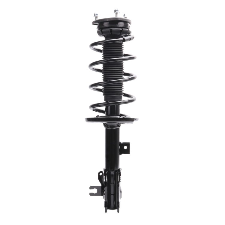 Strut Assembly