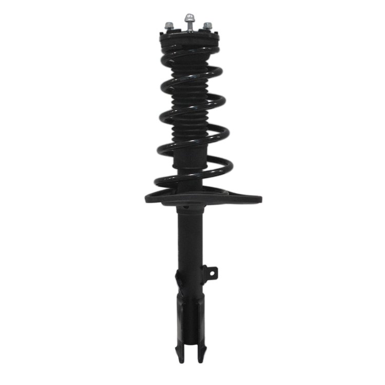 Strut Assembly
