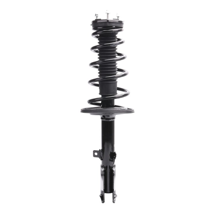 Strut Assembly