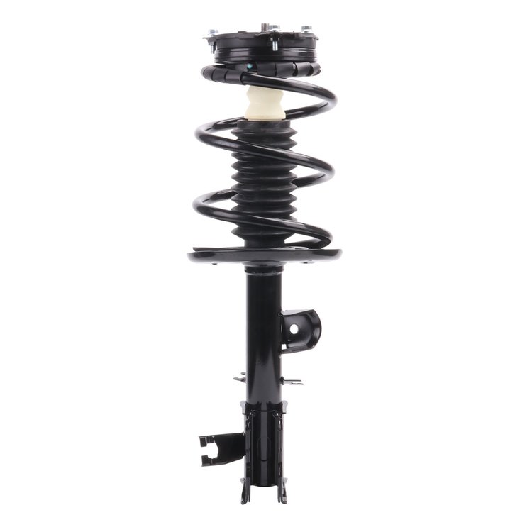 Strut Assembly