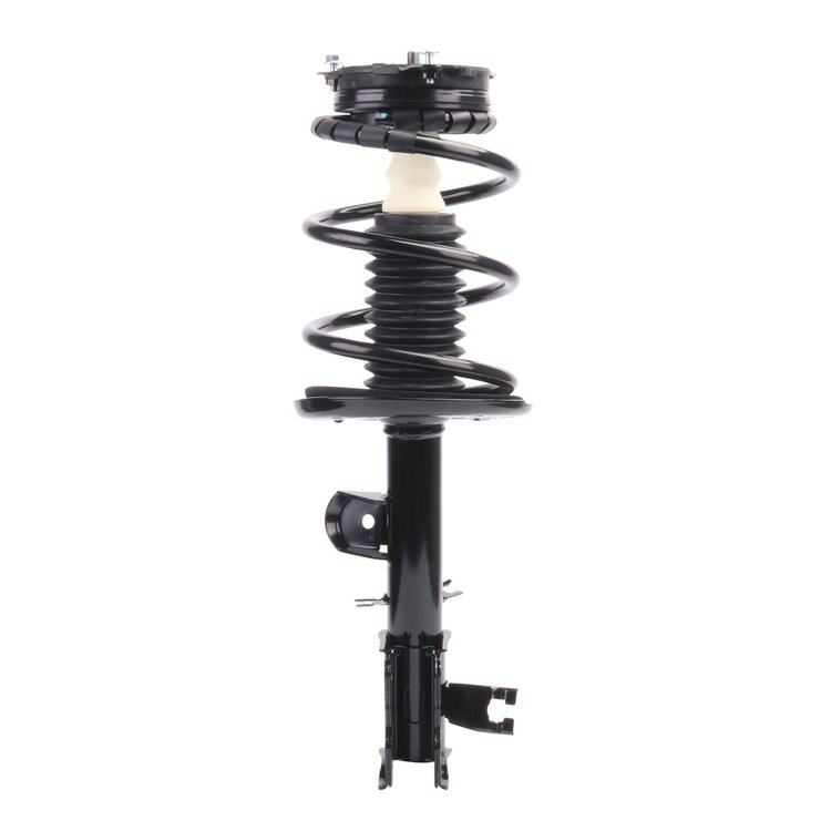 Strut Assembly