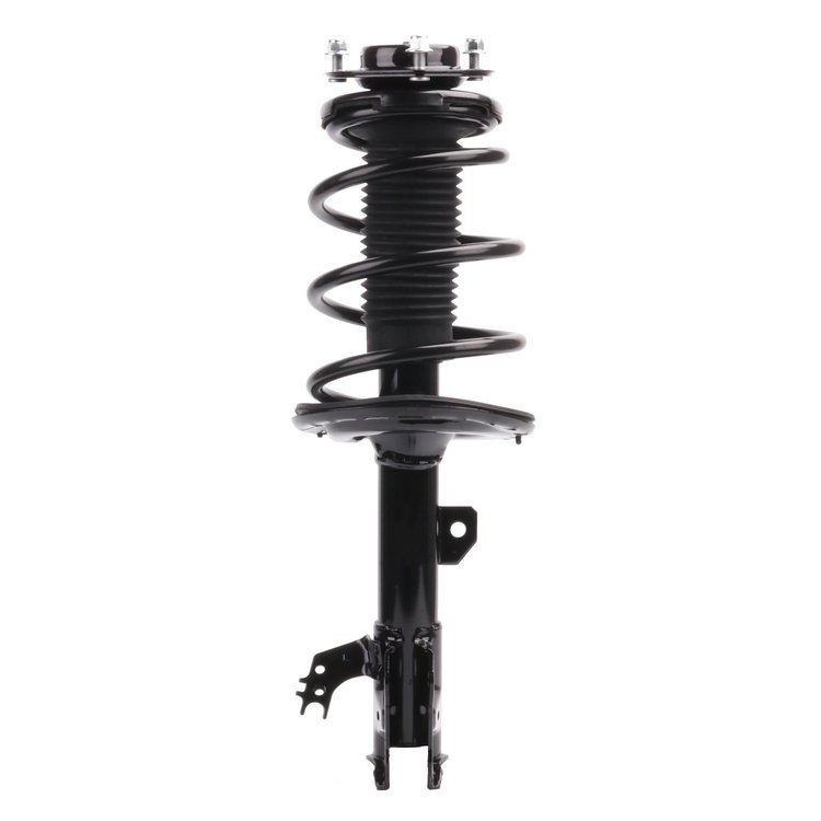 Strut Assembly
