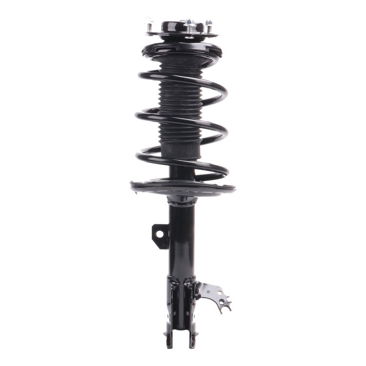 Strut Assembly