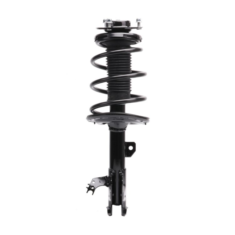 Strut Assembly