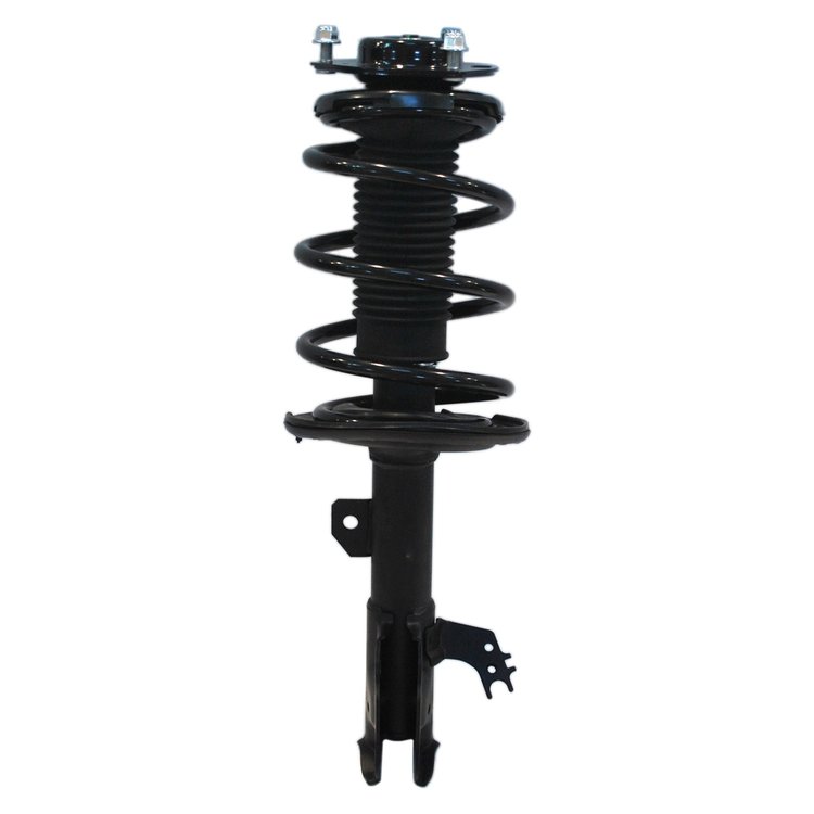 Strut Assembly