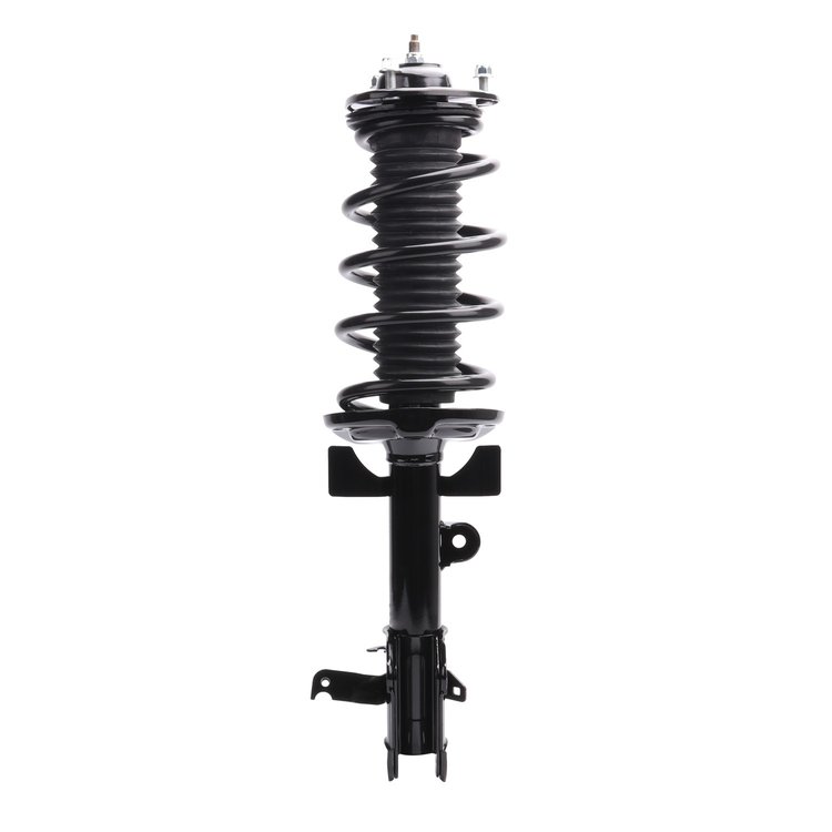 Strut Assembly