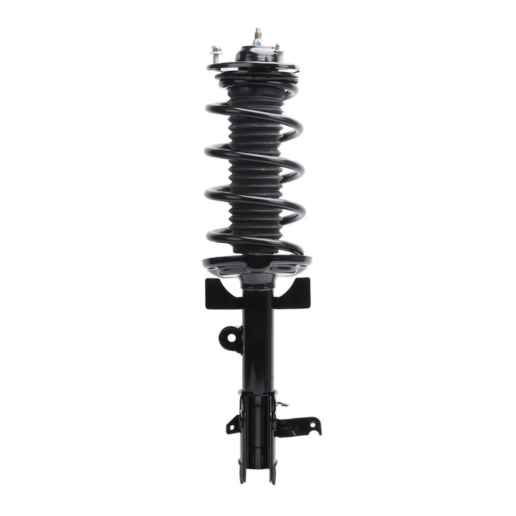 Strut Assembly