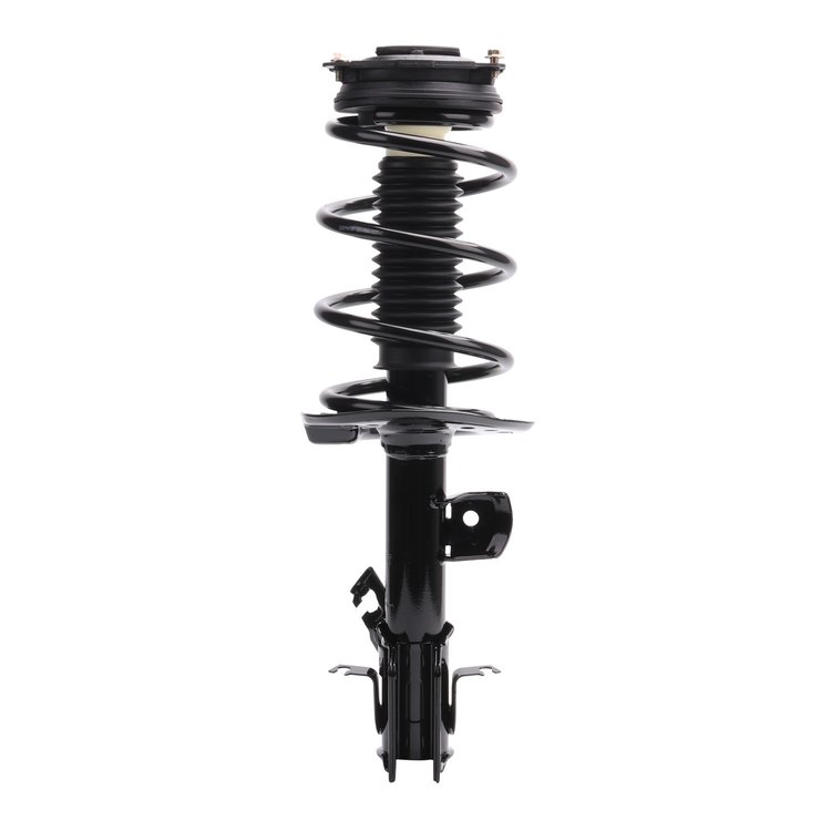 Strut Assembly