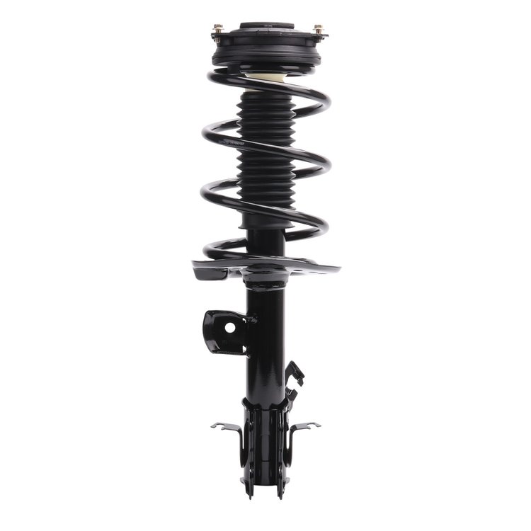 Strut Assembly