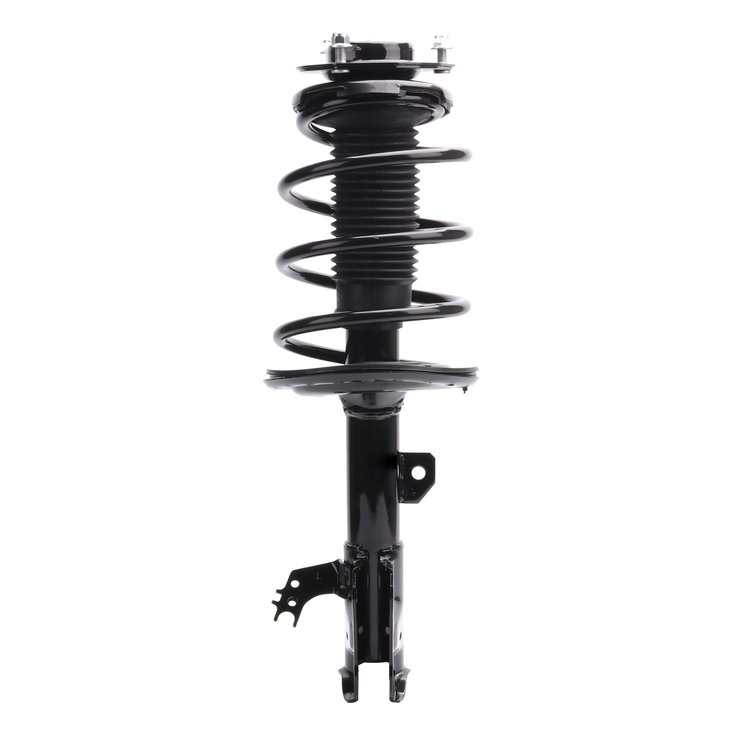 Strut Assembly