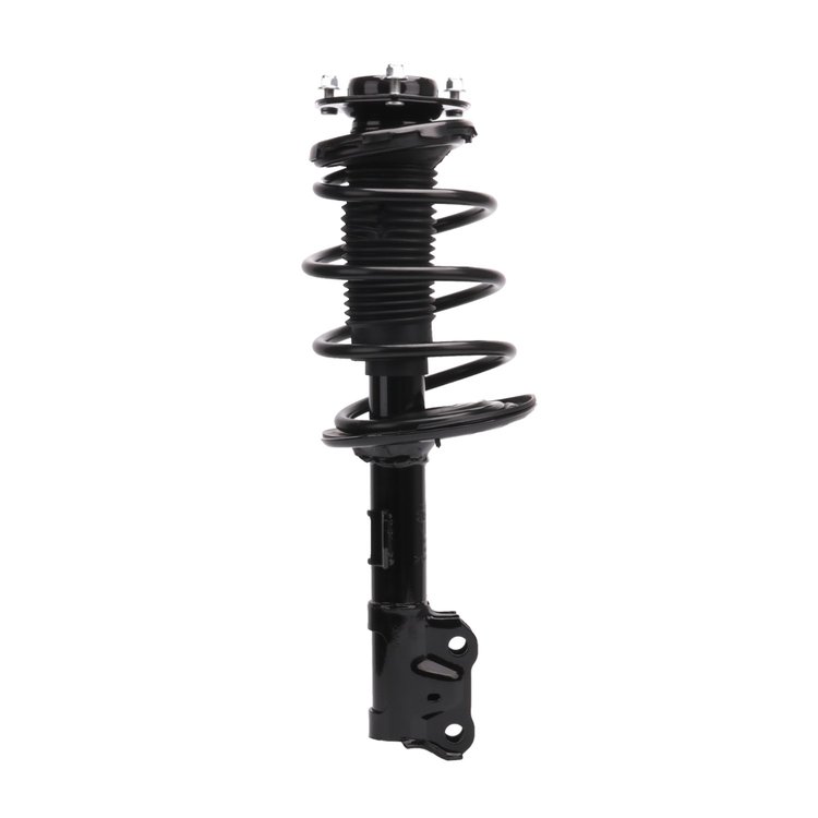 Strut Assembly