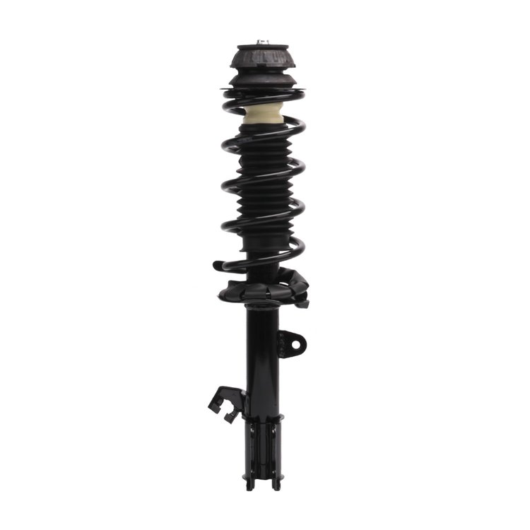 Strut Assembly