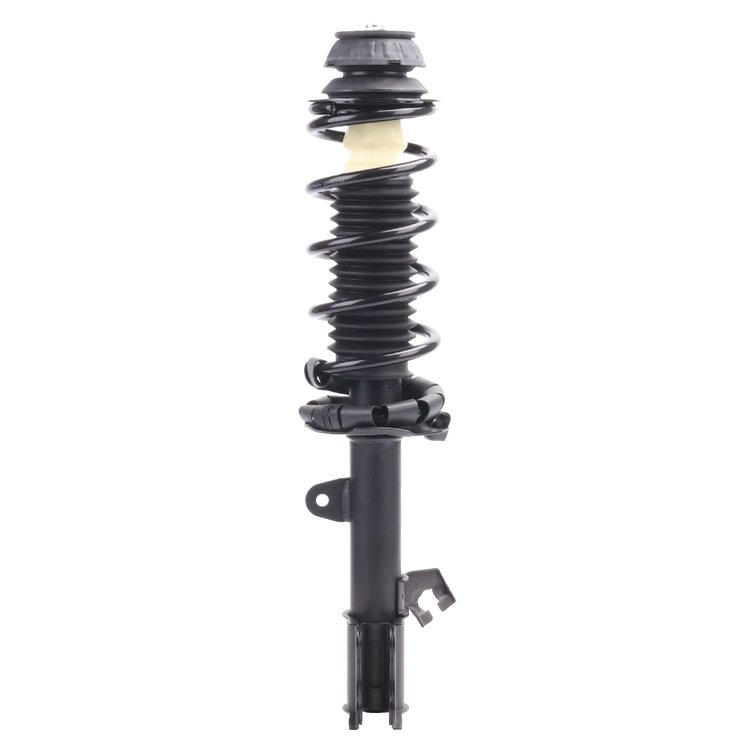 Strut Assembly