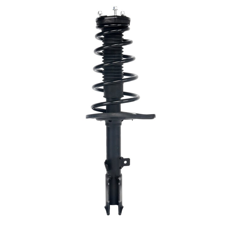 Strut Assembly
