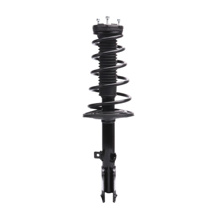 Strut Assembly