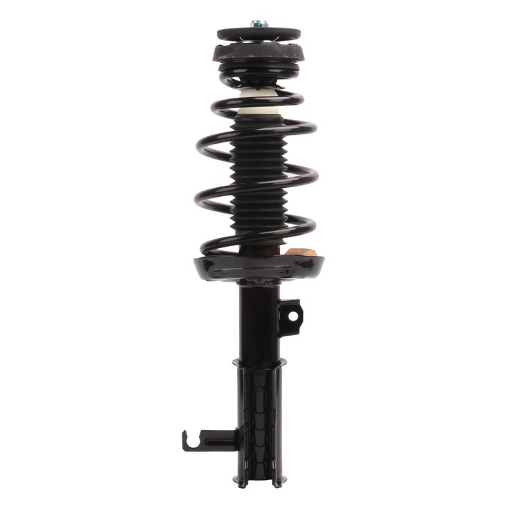 Strut Assembly