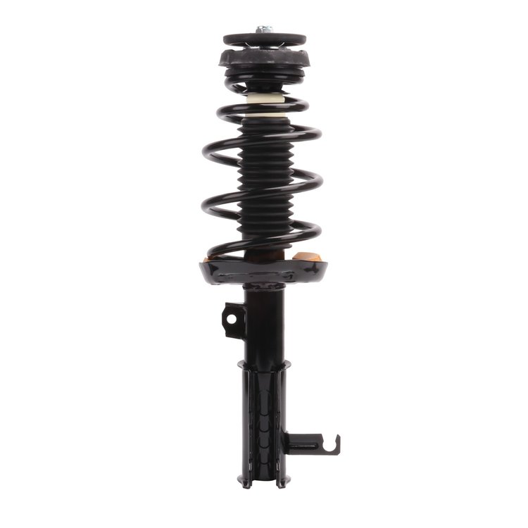 Strut Assembly