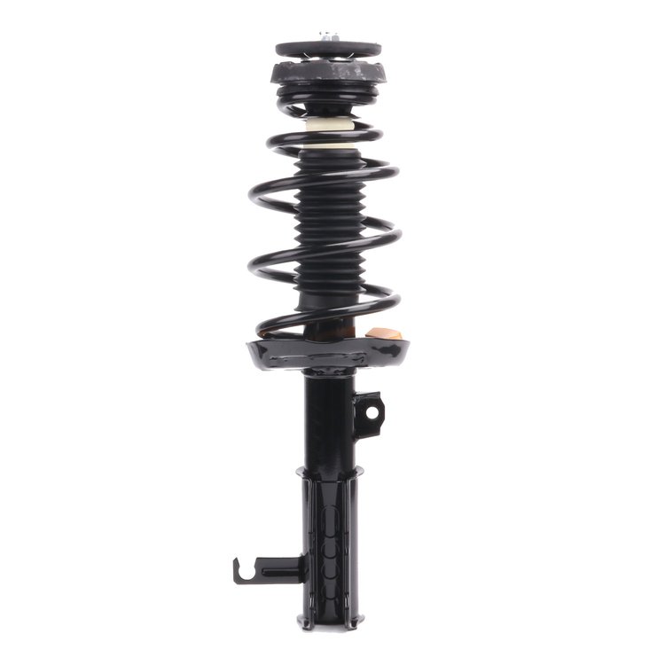 Strut Assembly