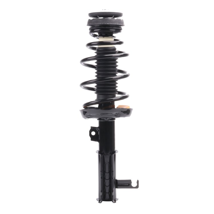 Strut Assembly