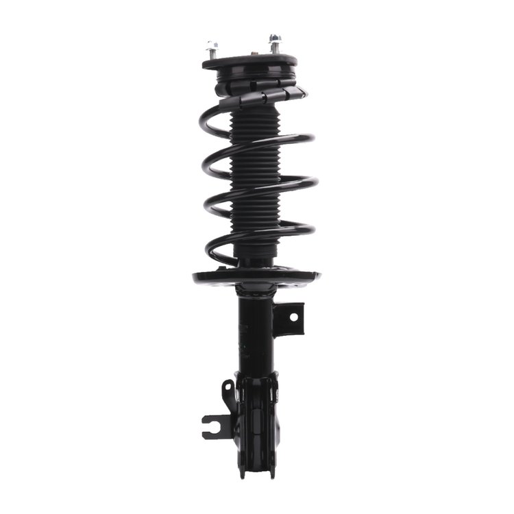 Strut Assembly