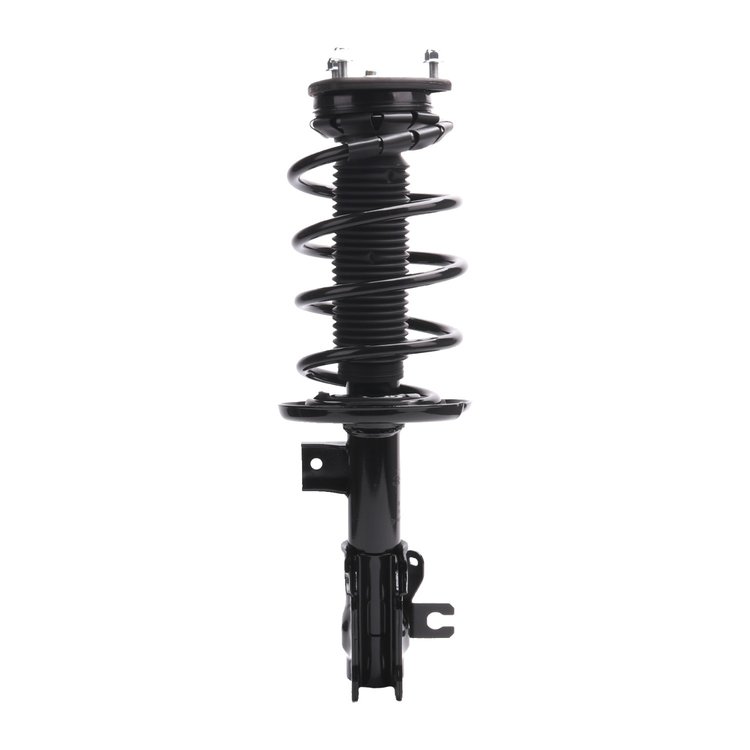 Strut Assembly