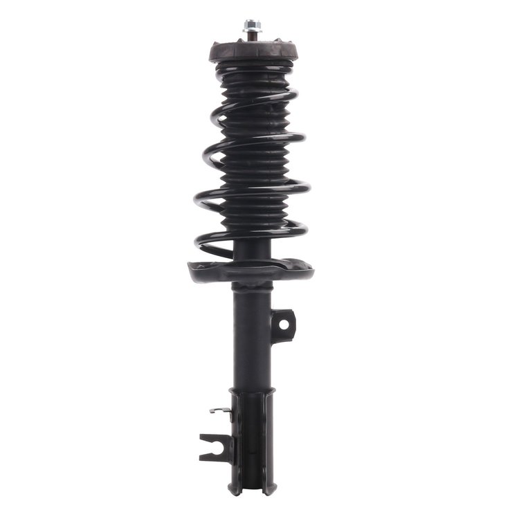 Strut Assembly