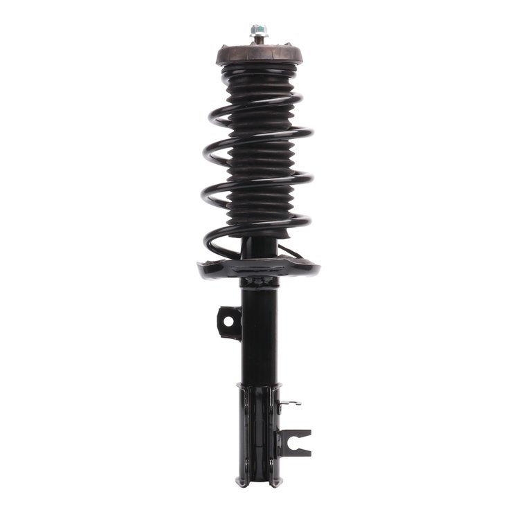 Strut Assembly