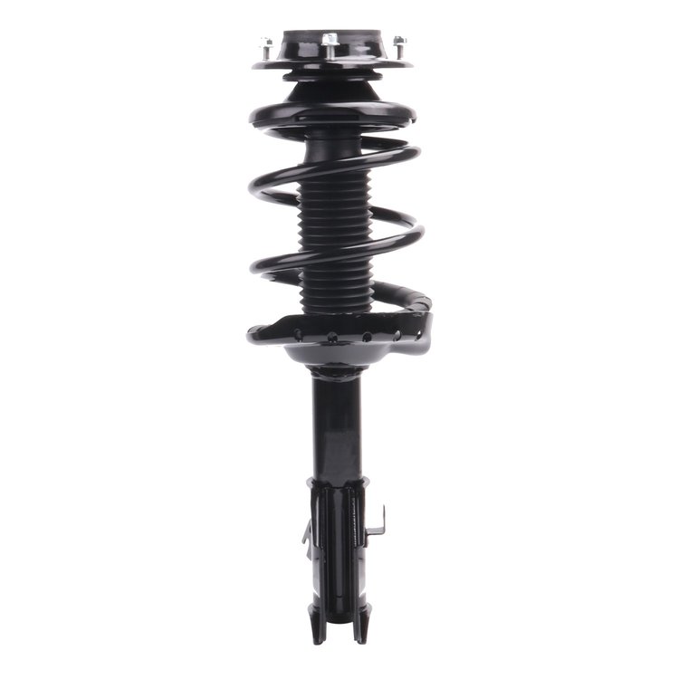 Strut Assembly