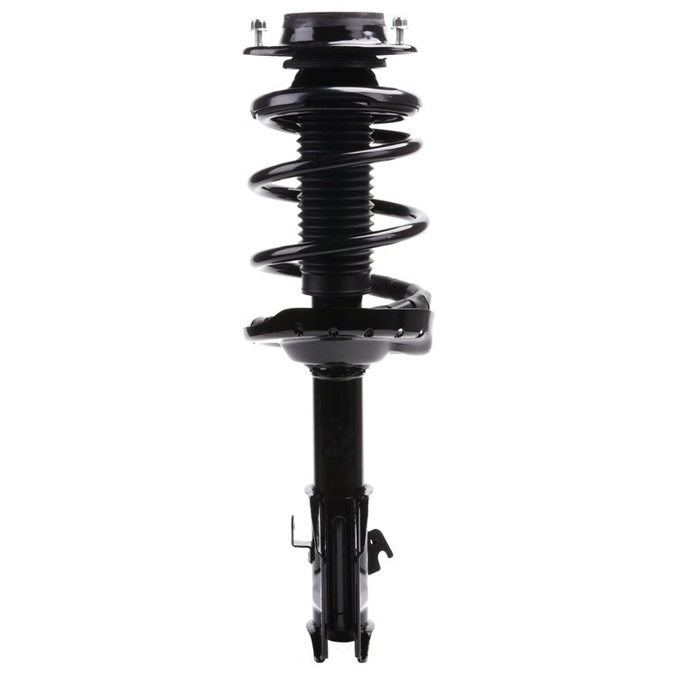 Strut Assembly