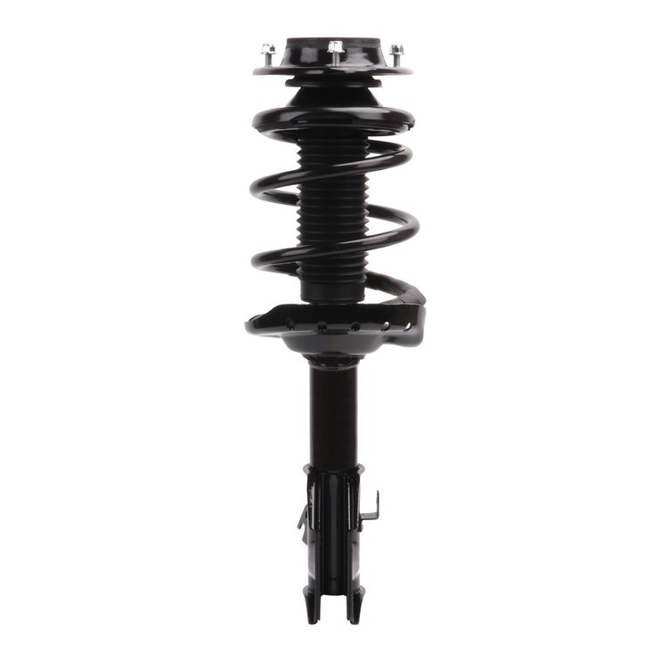 Strut Assembly