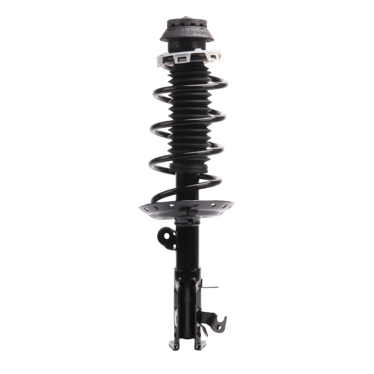 Strut Assembly