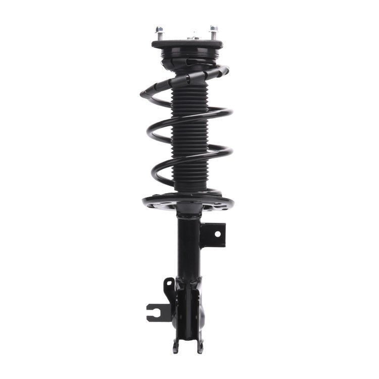Strut Assembly