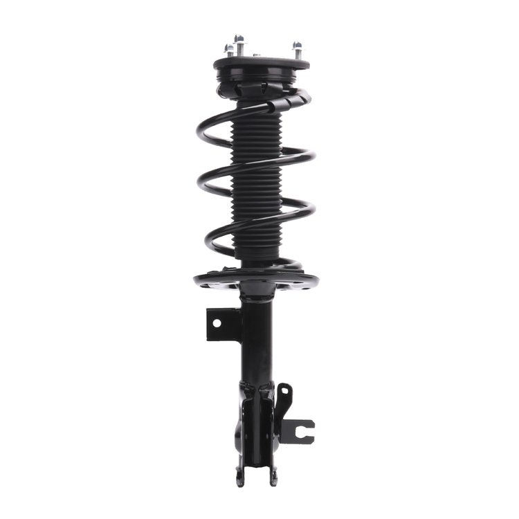 Strut Assembly