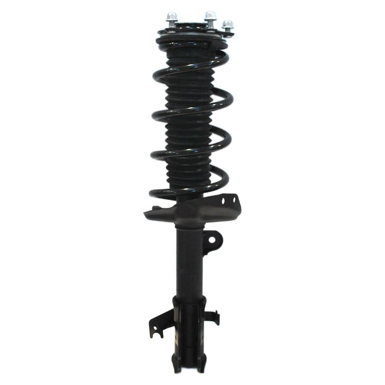Strut Assembly