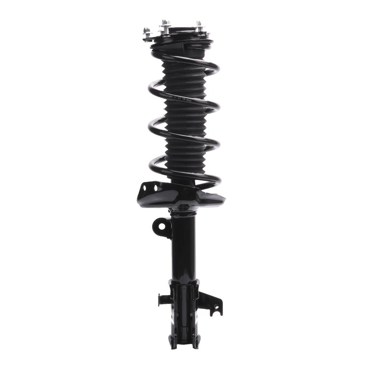 Strut Assembly