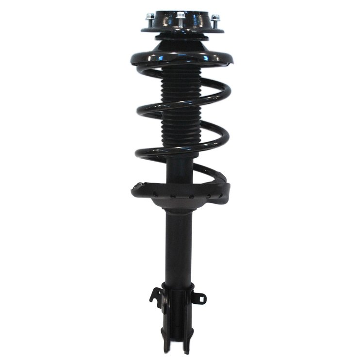Strut Assembly